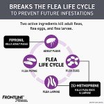 Frontline Plus Flea and Tick Treatment for Dogs