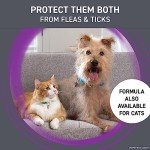 Frontline Plus Flea and Tick Treatment for Dogs