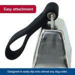 Coastal Pet Nickel Cow Bell for Dogs - Large