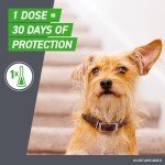 Frontline Plus Flea and Tick Treatment for Dogs