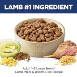 Hill's Science Diet Large Breed Dog Food, Lamb & Rice