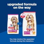 Hill's Science Diet Senior Dog Food, Chicken & Rice