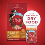Purina ONE Wet Dog Food with Chicken & Rice