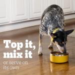 Delicious Wet Dog Food Variety Pack - 12 Cans