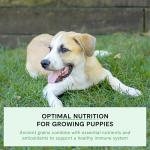 Open Farm Ancient Grains Puppy Dry Dog Food