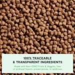 Open Farm Ancient Grains Puppy Dry Dog Food