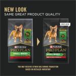 High Protein Dog Food for Upland Bird Hunters