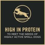 High Protein Dog Food for Upland Bird Hunters