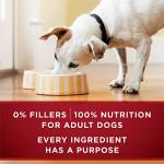 Purina ONE High Protein Wet Dog Food Cans