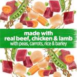 Purina Beneful High Protein Wet Dog Food Pack