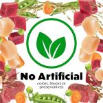 Purina Beneful High Protein Wet Dog Food Pack