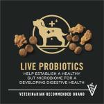 Purina Pro Plan High Protein Puppy Food - Chicken & Rice