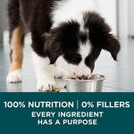 Purina ONE Large Breed Puppy Dry Food - 40 Lbs