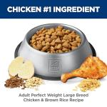 Hill's Science Diet Perfect Weight Large Dog Food