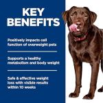 Hill's Science Diet Perfect Weight Large Dog Food