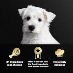Cesar Wet Dog Food for Puppies - 6 Tray Pack