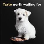 Cesar Wet Dog Food for Puppies - 6 Tray Pack