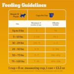 Pedigree Meaty Ground Dinner Puppy Food - Chicken & Beef