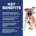 Hill's Science Diet Large Breed Puppy Food - 15.5 lb