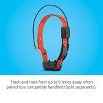 Garmin Alpha TT 25 GPS Dog Training Collar