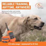 SportDOG Remote Training Collar with OLED Screen