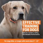 SportDOG Remote Training Collar with OLED Screen