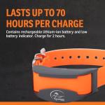 SportDOG Remote Training Collar with OLED Screen