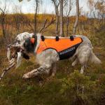 BASSDASH Blaze Orange Dog Safety Vest for Hunting
