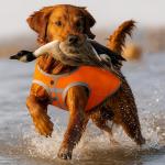 High-Visibility Reflective Dog Hunting Vest