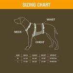Browning Hi-Vis Safety Vest for Dogs, Medium