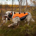 BASSDASH Blaze Orange Dog Safety Vest for Hunting