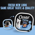 Cesar Wet Dog Food for Puppies - 6 Tray Pack