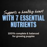 Cesar Wet Dog Food for Puppies - 6 Tray Pack