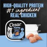 Cesar Wet Dog Food for Puppies - 6 Tray Pack