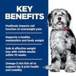 Hill's Science Diet Weight & Joint Support Dog Food