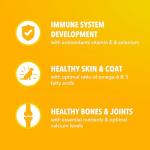 Iams Proactive Health Large Breed Puppy Food 13.9kg