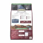 Blue Buffalo Wilderness Salmon High-Protein Dog Food