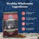 Blue Buffalo Wilderness Salmon High-Protein Dog Food