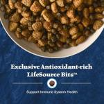 Blue Buffalo Wilderness Salmon High-Protein Dog Food