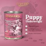 Evangers Classic Canned Puppy Dog Food