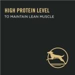 Purina Pro Plan Weight Management Dog Food - 34 lb