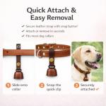 Dog Collar Bell Tracker with ID Tags (2 Sets)