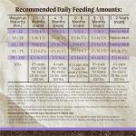 Merrick Grain-Free Puppy Kibble with Beef & Sweet Potato