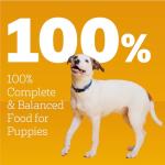 Pedigree Meaty Ground Dinner Puppy Food - Chicken & Beef