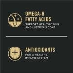 Purina Pro Plan Salmon & Rice Dog Food, 34 lb