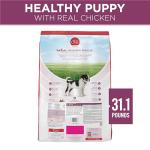 Purina ONE High Protein Puppy Food, 31.1 lb