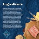 Blue Buffalo Wilderness High-Protein Dog Food, Salmon