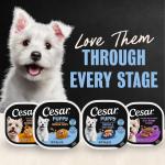 Cesar Wet Dog Food for Puppies - 6 Tray Pack
