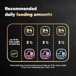 Cesar Wet Dog Food Variety Pack in Gravy