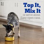 Gourmet Dog Food Variety Pack for Hunting Dogs